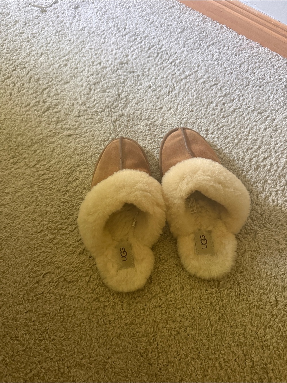 UGG Chestnut Shearling Clog Slippers